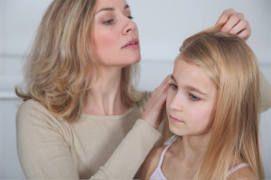 How to get rid of lice