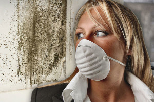 How to treat walls from fungus and mold