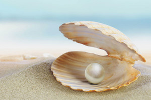 How pearls are formed in the sink