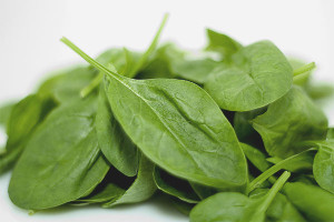 How to grow spinach on a windowsill
