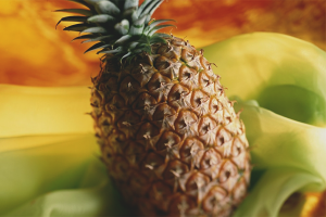 Ananas nasıl yetiştirilir