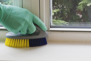 How to clean a plastic windowsill