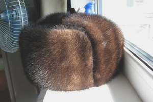 How to clean a mink hat