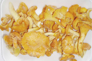 Comment congeler les girolles pour l'hiver