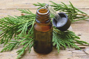 Juniper essential oil