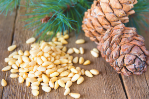 The benefits and harms of pine nuts