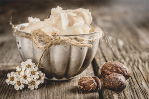 Useful properties and use of shea butter