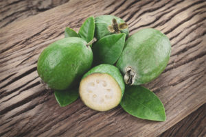 Propriétés et contre-indications utiles feijoa