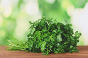 Useful properties and contraindications of parsley