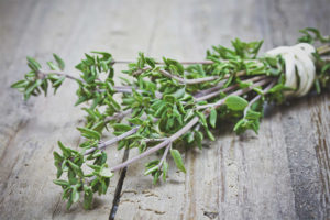 Thyme during pregnancy