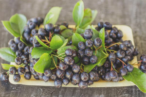 Chokeberry pendant la grossesse