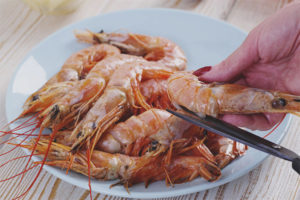 Crevettes pendant la grossesse