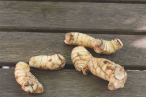 Therapeutic properties and contraindications galangal root