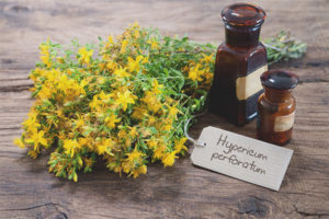 Tıbbi özellikleri ve kontrendikasyonları St.John's wort