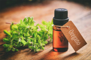 Useful properties and use of oregano oil