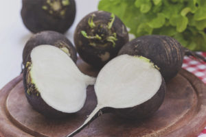 Useful properties and contraindications of black radish