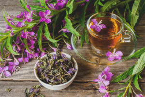 Useful properties and contraindications of Ivan tea