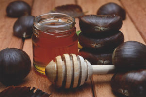 Useful properties and contraindications of chestnut honey