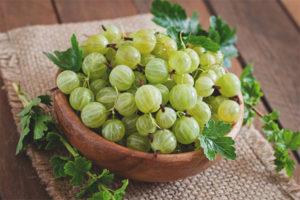 Gooseberry benefits and contraindications