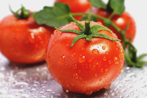 Useful properties and contraindications of tomatoes