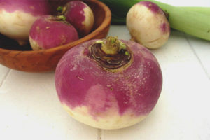 Useful properties and contraindications for turnip