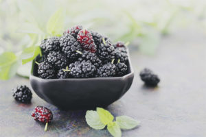 Useful properties and contraindications of mulberry