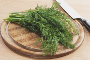 Dill under graviditet