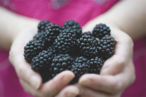 Blackberry during pregnancy