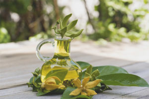 Ylang Ylang Essential Oil