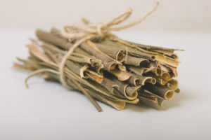 Therapeutic properties and contraindications of aspen bark