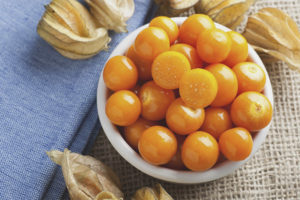 คุณสมบัติที่มีประโยชน์และข้อห้ามของ Physalis