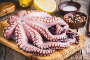 The benefits and harms of an octopus