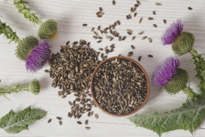 How to take milk thistle