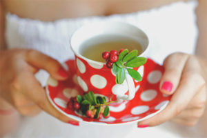 Useful properties and contraindications of lingonberry tea