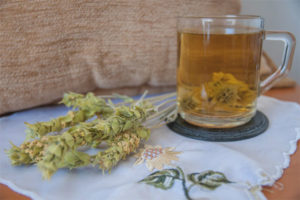 Useful properties and contraindications of Mursalsky tea