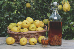 How to make quince wine