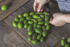 Bir feijoa nasıl seçilir