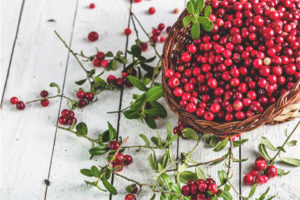 Can lingonberries with diabetes
