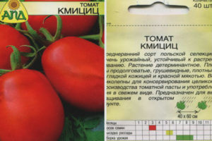 Tomate Kmitsitz