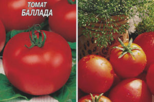 Tomatballade