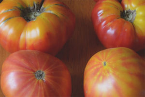 Tomato Big Rainbow