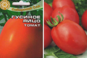 Tomato Husacie vajce