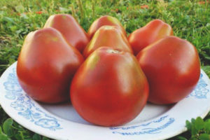 Pomodoro Ivan Kupala