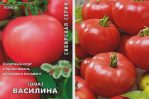 Tomato Vasilina