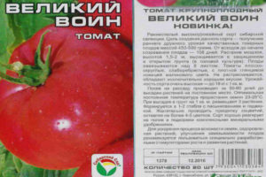 Tomate Great Warrior