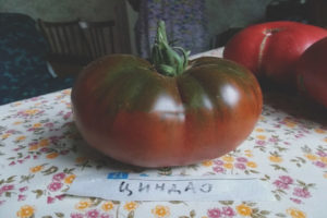 Tomate Qingdao