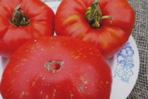 Fuochi d'artificio al pomodoro