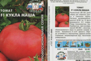 Tomato Doll Masha