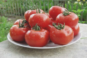 Tomate Malika F1