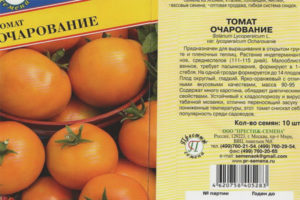 Breloque tomate